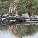 Photo taken by Kaye D