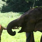 Photo taken by Julien C