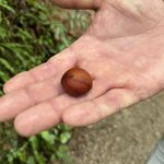 Photo taken by Dana F