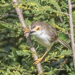 Photo taken by Graham D