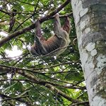 Photo taken by Brett F