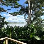 View of the Amazon River from our balcony | Photo taken by Sophie E
