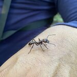 Photo taken by Nicole S