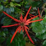 Photo taken by Brett F