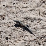 Photo taken by Jananee J