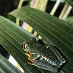 Photo taken by Susan O