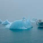 Photo taken by Cassandra M