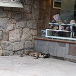 Photo taken by Susan B