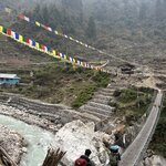 Photo taken by Willow K