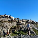 Photo taken by Emily C