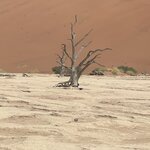 Photo taken by Michael G