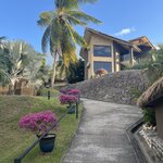 Photo taken by Diane S