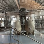 Photo taken by Madeleine S