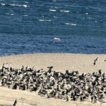 Photo taken by Marcia R