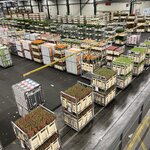 Photo taken by Monique L