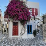 Photo taken by Carole D