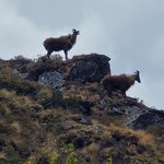 Photo taken by Gavin T