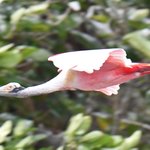 Photo taken by Graeme W