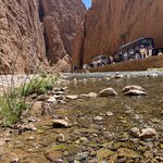 Photo taken by Jackie O