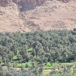 Photo taken by SARMA M