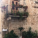 Photo taken by Karen Z