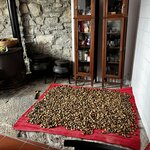 Photo taken by Dee C