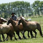 Photo taken by Eric T