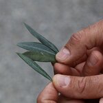 Photo taken by Kris B