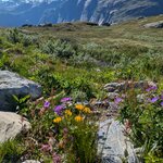 Photo taken by Sarina H