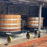 Photo taken by Rosemary S