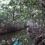 Photo taken by Juliette S