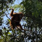 Photo taken by Edit M