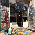 Photo taken by Deborah M