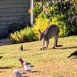 Photo taken by Daniel S