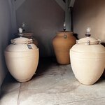 Photo taken by Shannon S