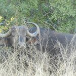 Photo taken by Linette B