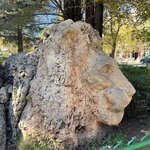 Photo taken by Mohammad Y