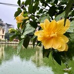 Photo taken by Mylan L