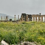 Photo taken by Jackie O