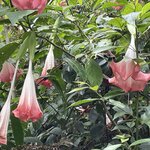 Photo taken by Kate R