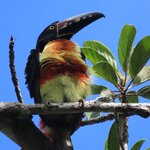 Photo taken by Mark B