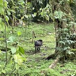 Photo taken by Kate R