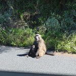 Photo taken by John B