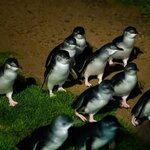 Photo taken by James B