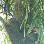 Photo taken by Jane K