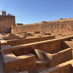 Photo taken by Suzanne C