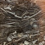 Photo taken by Michele R