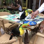 Photo taken by Juliette S