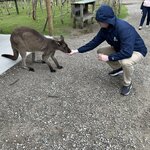 Photo taken by Amy W