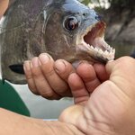 Photo taken by Tony F